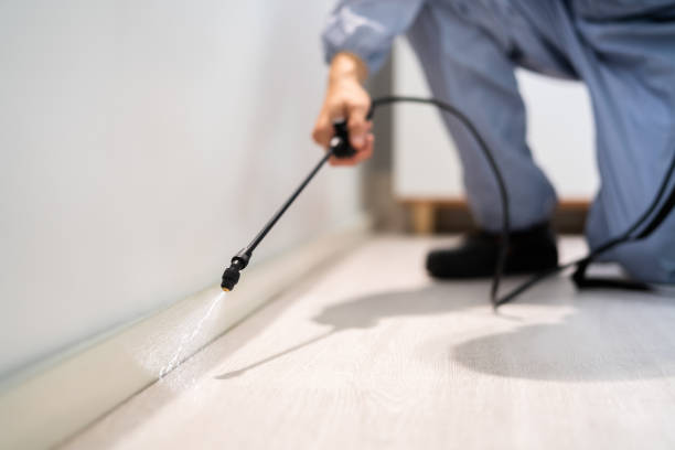 Professional exterminator conducting IPM assessment in Bloomfield Hills
